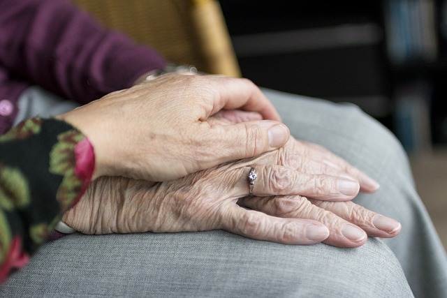 Combating Senior Isolation: The Impact of Elderly Companion Services