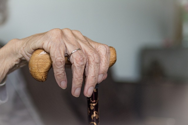 Elderly Companion Services: Keeping Seniors’ Homes Safe & Maintained