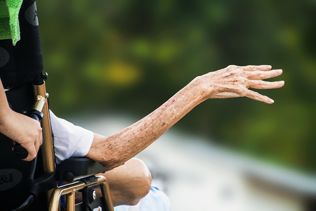 Elderly Companion Services: A Lifeline for Family Caregiving