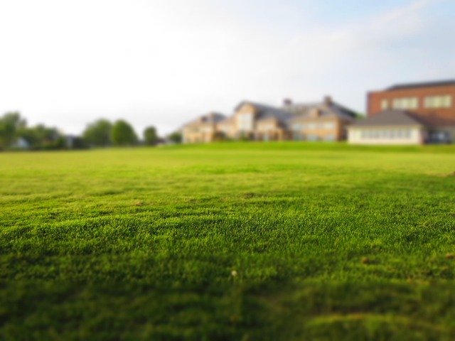 Mastering Lawn Care and Landscaping: A Guide to Healthy Turf Management